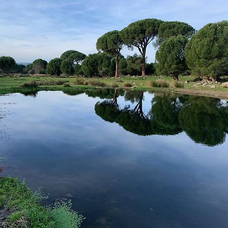 Вілла El Refugio De Felix Сотільйо-де-ла-Адрада Екстер'єр фото