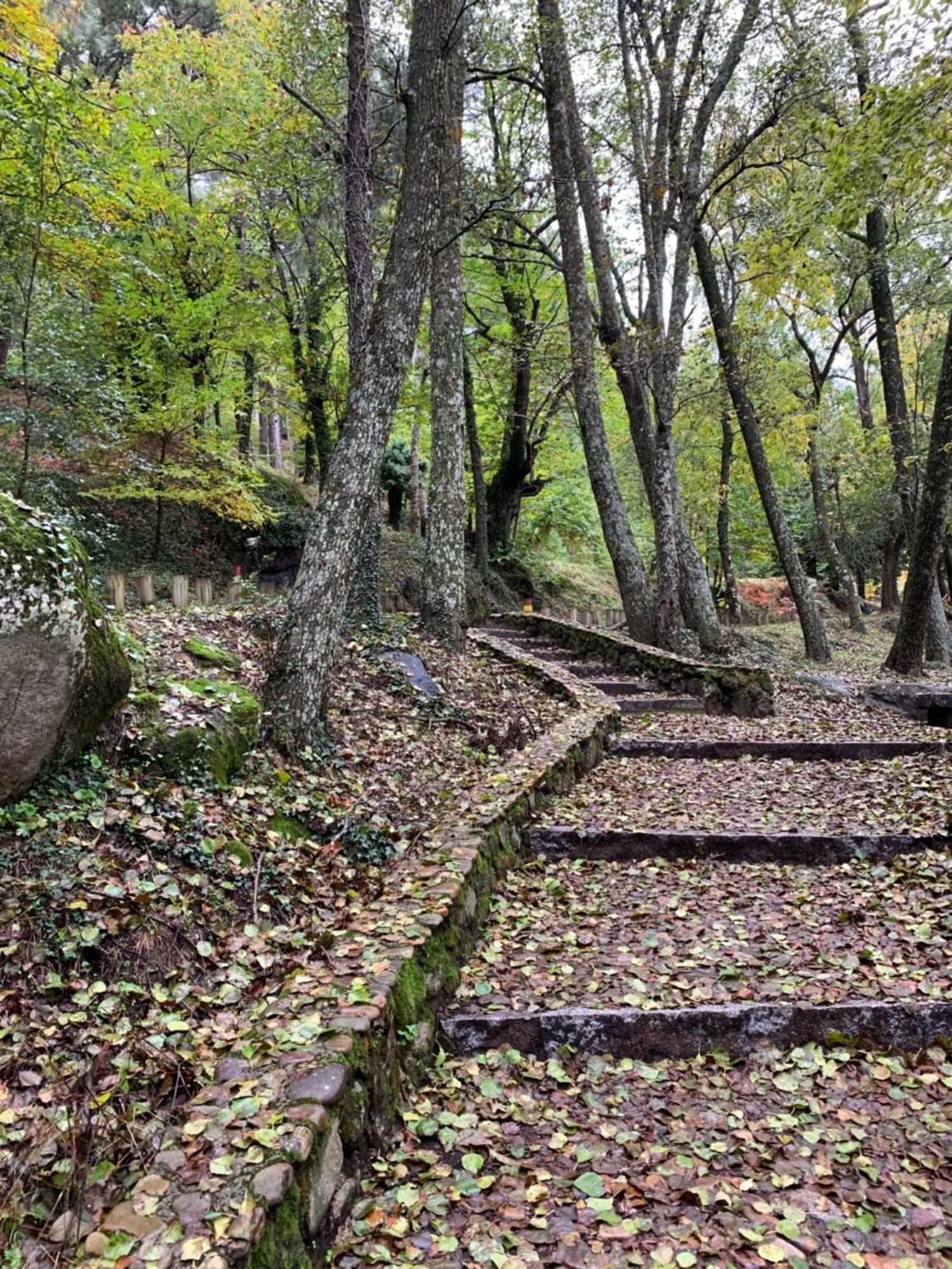 Вілла El Refugio De Felix Сотільйо-де-ла-Адрада Екстер'єр фото