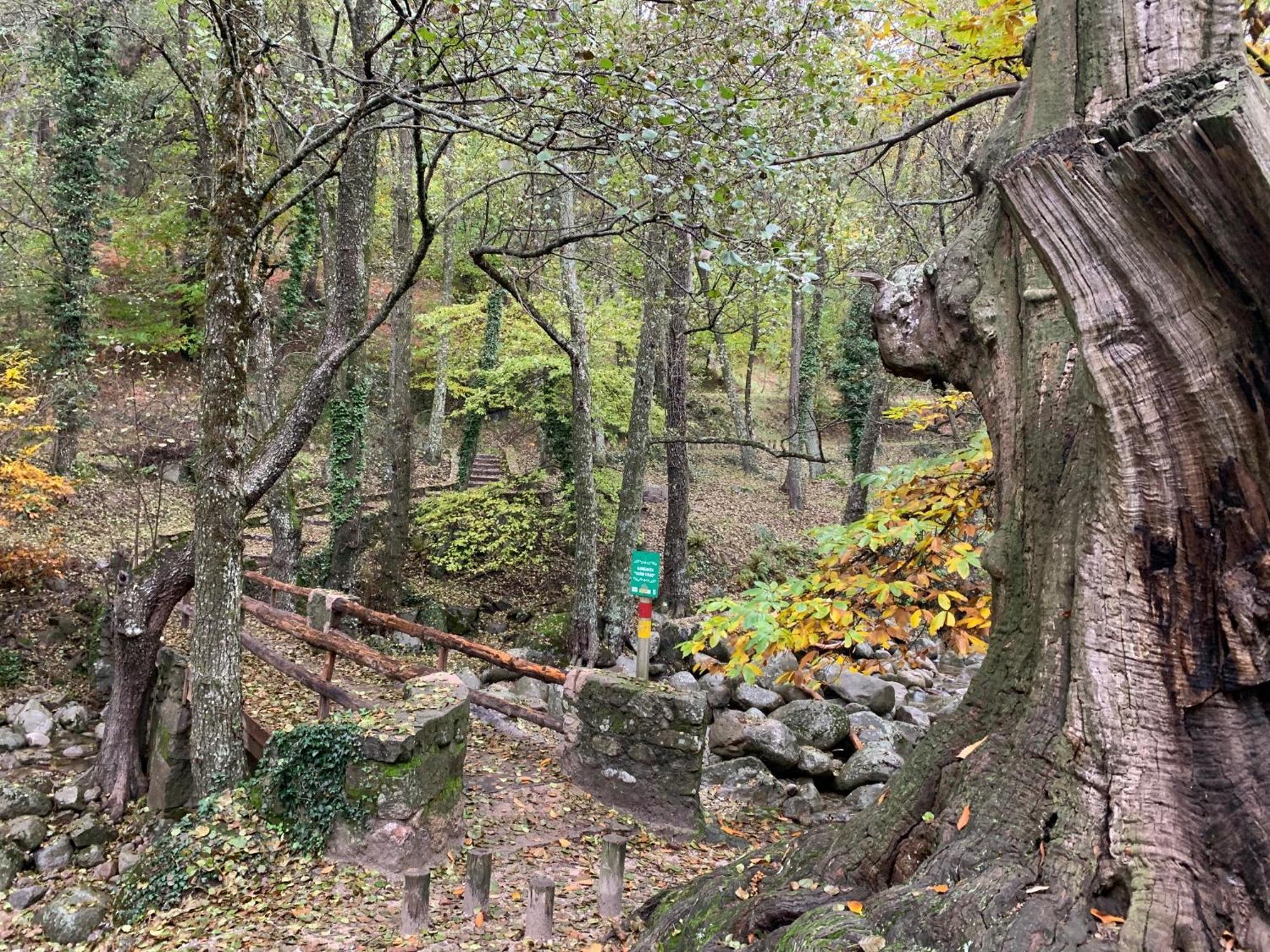 Вілла El Refugio De Felix Сотільйо-де-ла-Адрада Екстер'єр фото